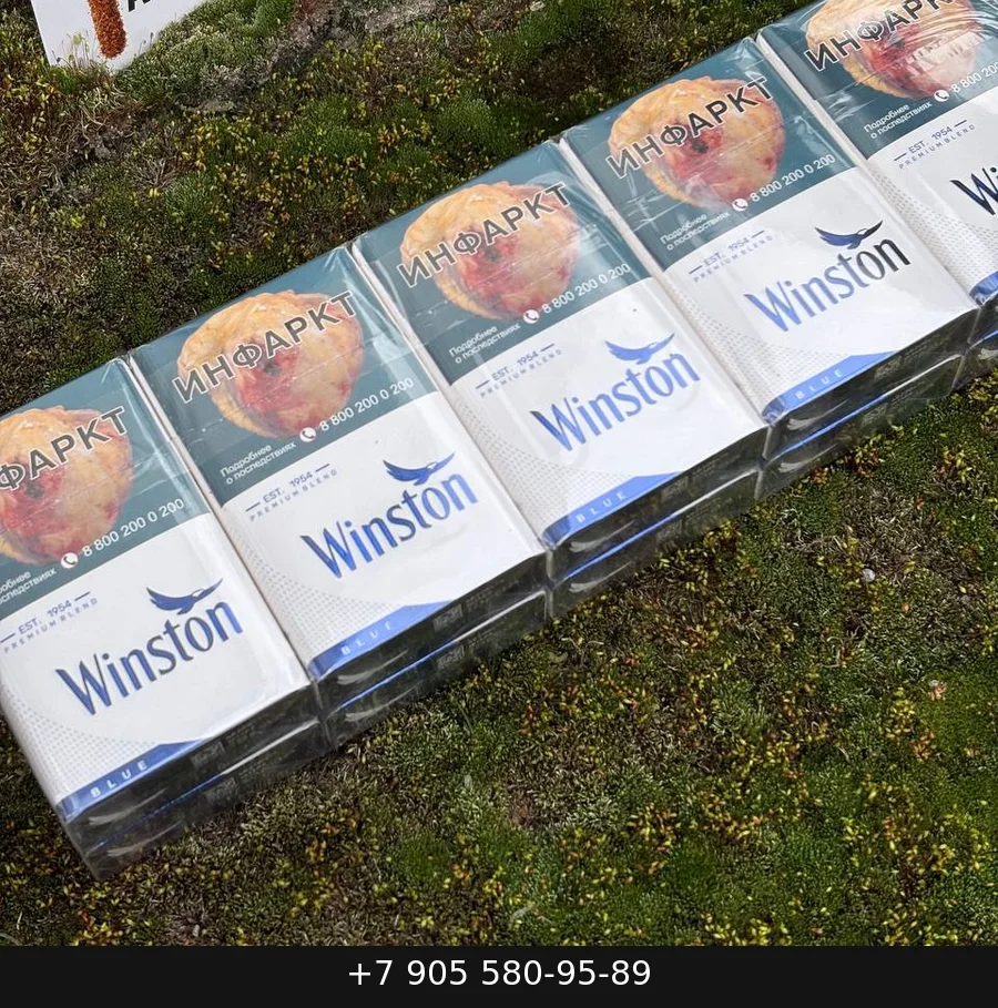 Winston XS Compact Frozen (Винстон Компакт Ментол) купить оптом — цена за блок